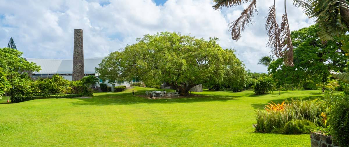 Virscio facility in St. Kitts, West Indies