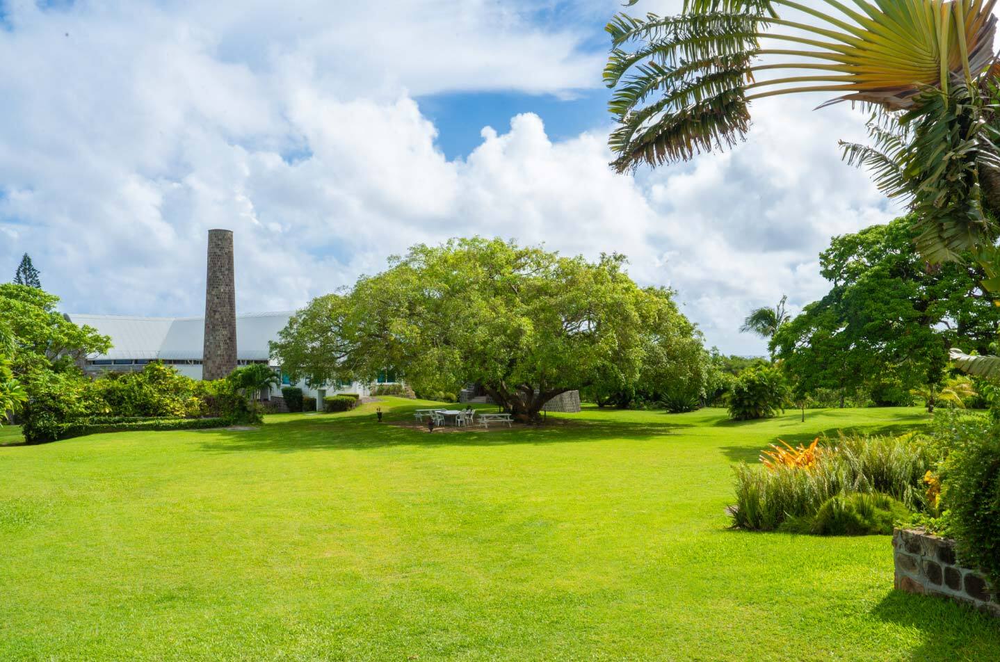 st-kitts-vivarium